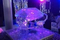 WhatsApp Image 2017-10-05 at 14.07.27